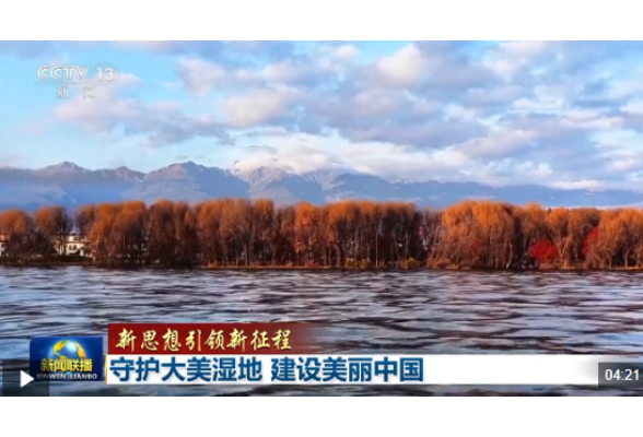 新思想引领新征程丨守护大美湿地 建设美丽中国