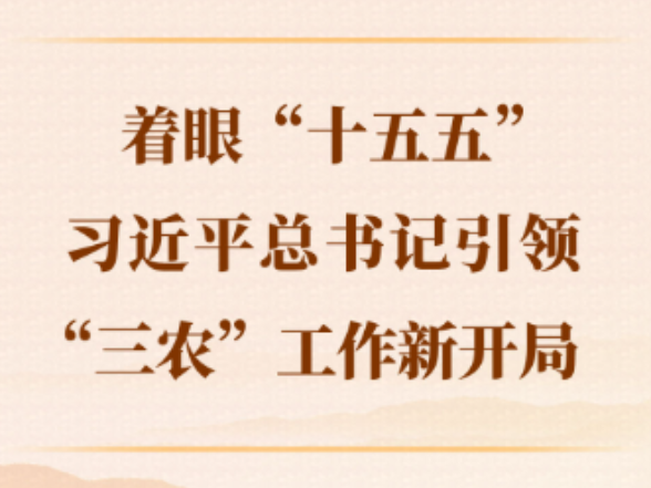 第一观察｜着眼“十五五”，习近平总书记引领“三农”工作新开局