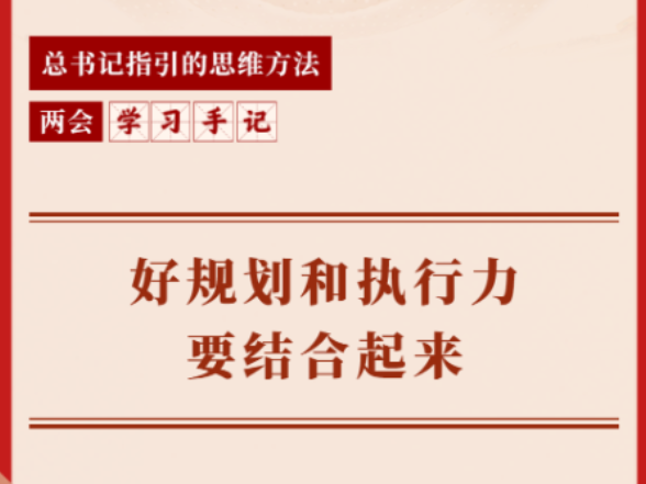 两会学习手记｜好规划和执行力要结合起来