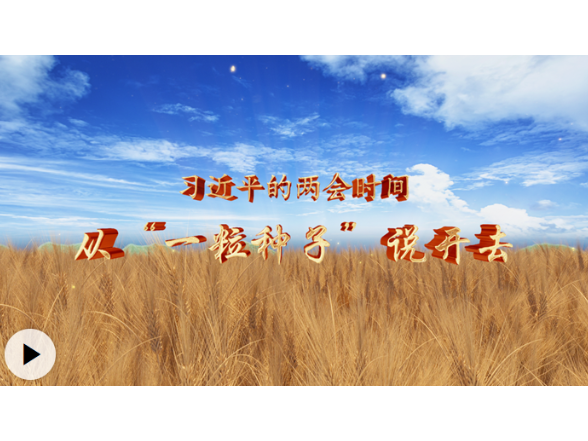 习近平的两会时间丨从“一粒种子”说开去