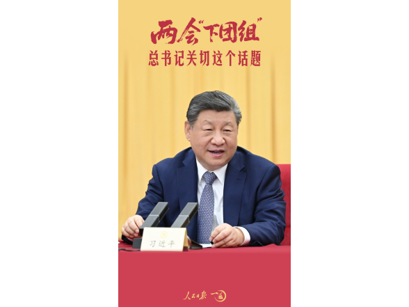 一见·两会“下团组”，总书记关切这个话题