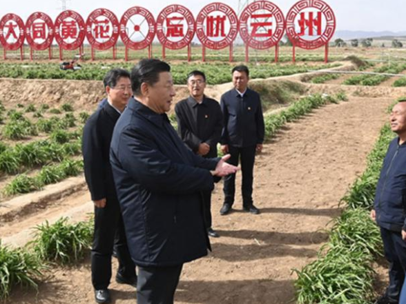 习语丨从小黄花到小龙虾，总书记为何关注这些“小产品”？