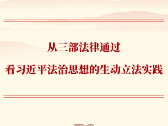 从三部法律通过看习近平法治思想的生动立法实践