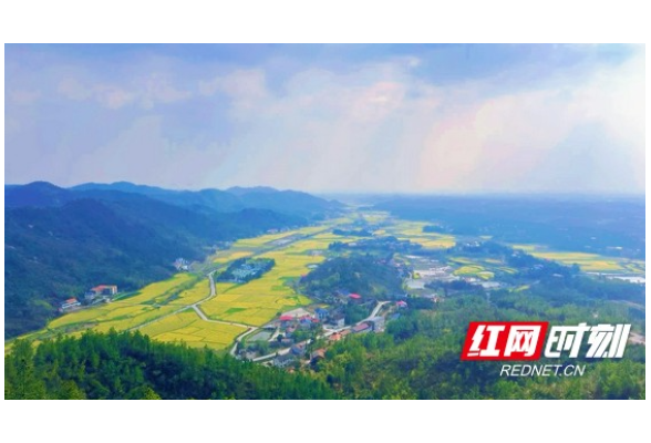 好评中国丨政策赋能强“三农”，湖湘沃野绽新颜