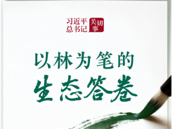 习近平总书记关切事｜以林为笔的生态答卷