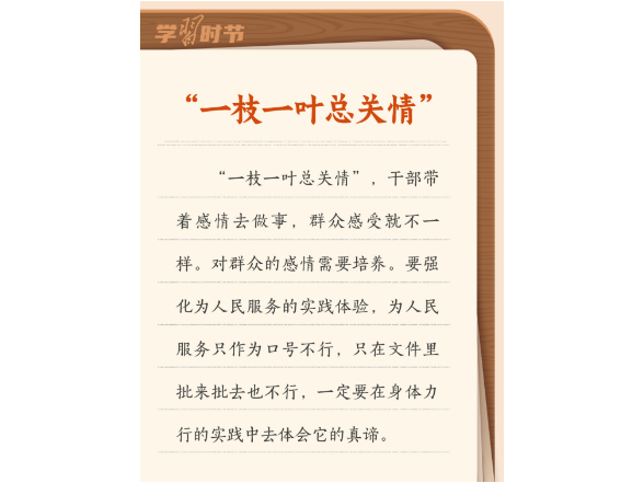 学习时节丨总书记妙语阐释正确政绩观