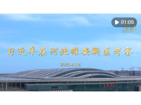 金色相框｜习近平在河北雄安新区考察