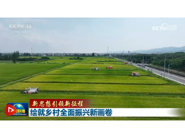 【新思想引领新征程】绘就乡村全面振兴新画卷