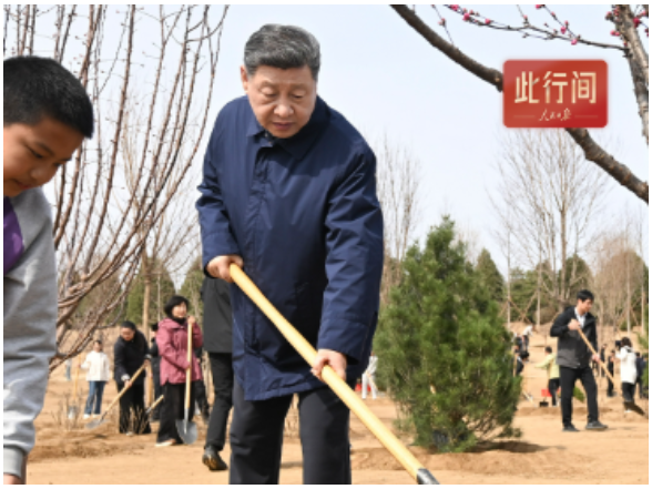 此行间·植树造林，总书记强调要“利民”