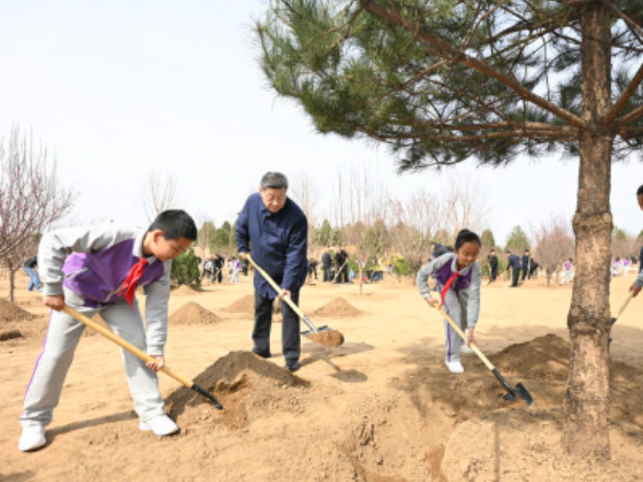 镜观·领航｜从植绿护绿，领悟总书记的政绩观