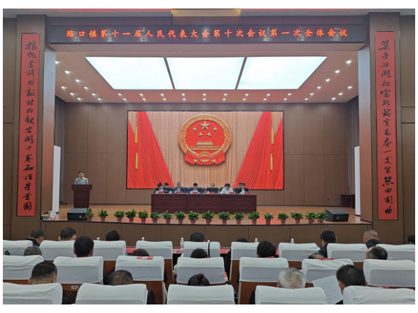 云溪区路口镇召开第十一届人民代表大会第十次会议