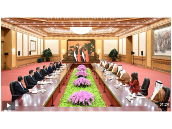 独家视频丨习近平：打造更加稳固坚韧、富有活力的中阿全面战略伙伴关系