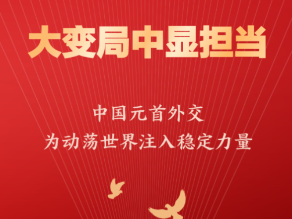 中国元首外交为动荡世界注入稳定力量