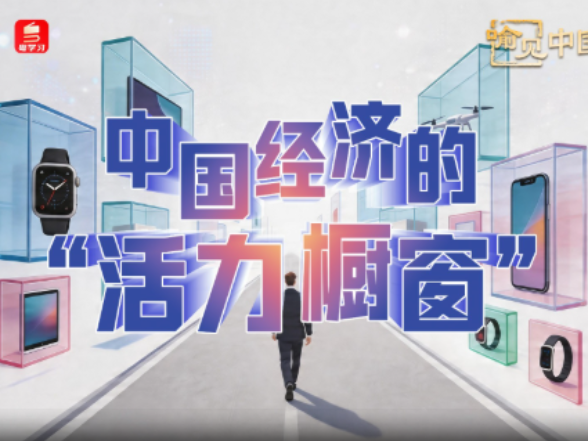 中国经济的“活力橱窗”｜喻见中国经济