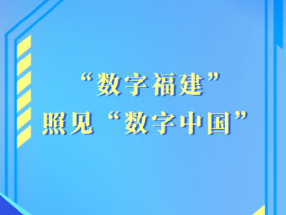 学习手记｜“数字福建”照见“数字中国”