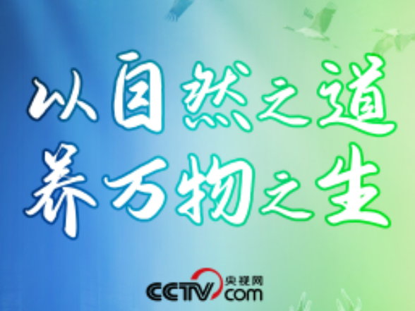 天天学习｜以自然之道 养万物之生