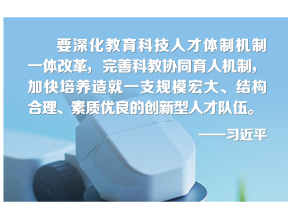 向新而行｜激发人才创新活力