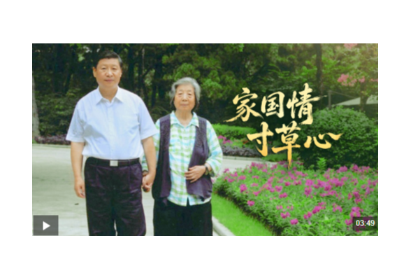 时政微视频丨家国情 寸草心