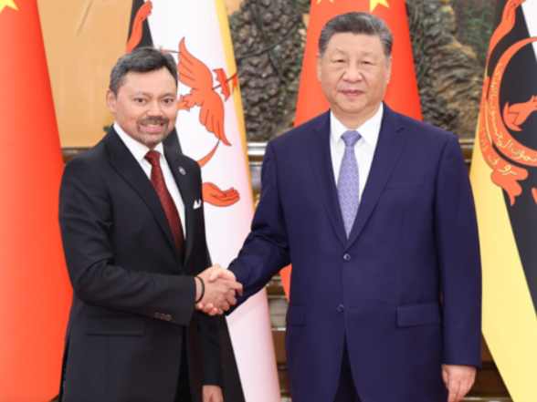 央视网|习近平会见文莱王储比拉