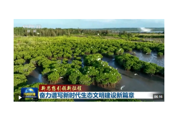 新思想引领新征程丨奋力谱写新时代生态文明建设新篇章