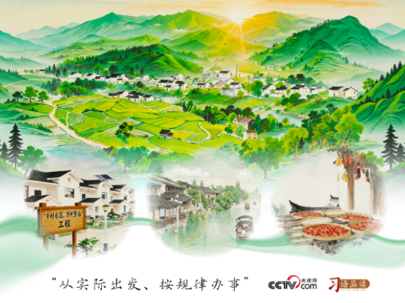 人民之心｜从实际出发、按规律办事