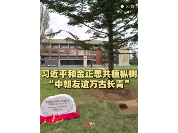 近镜头｜习近平和金正恩共植枞树