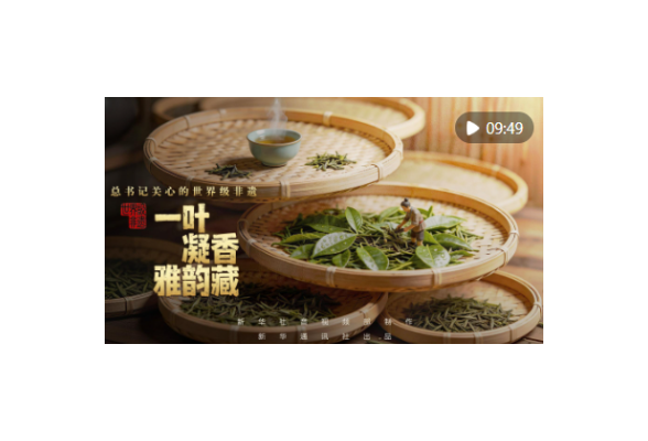 总书记关心的世界级非遗｜一叶凝香雅韵藏