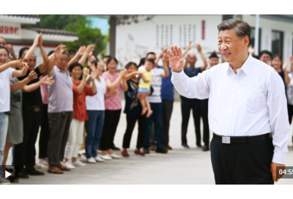 时政微视频丨拳拳赤子心