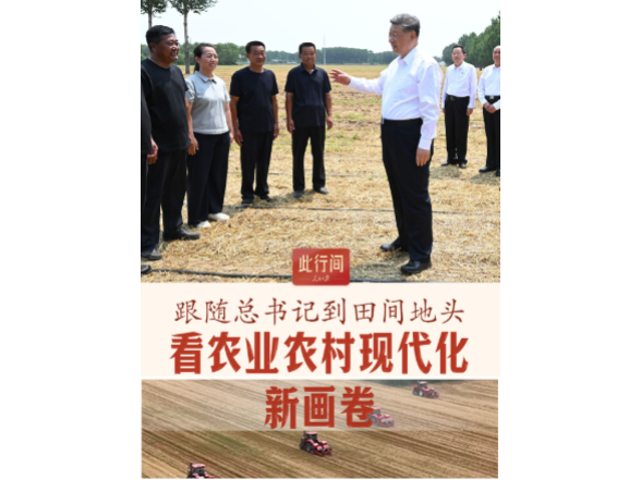 此行间·跟随总书记到田间地头，看农业农村现代化新画卷
