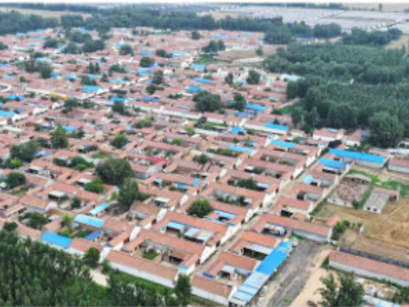 学习新语｜发挥党建引领作用 建设宜居宜业和美乡村