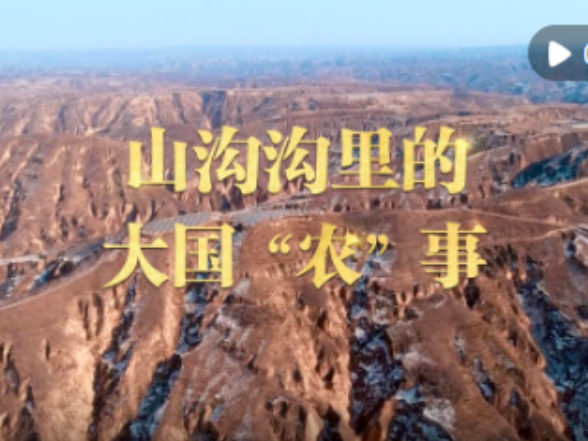 微视频｜山沟沟里的大国“农”事