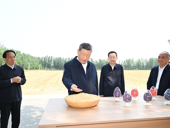 记者手记｜根脉在大地上，力量在人民中