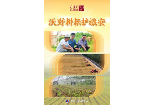 习近平总书记关切事丨沃野耕耘护粮安