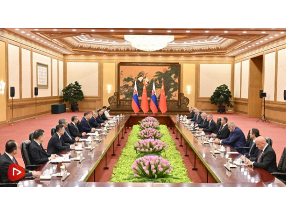 习近平同斯洛伐克总统佩列格里尼会谈