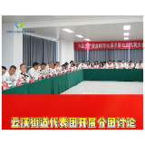云溪街道代表团开展分团讨论
