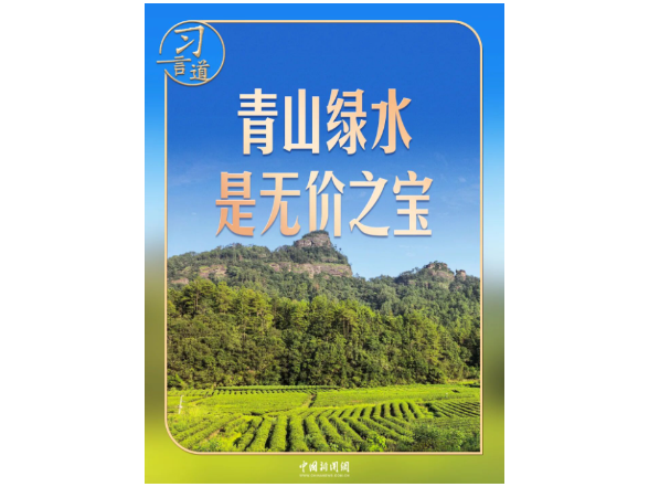 习言道｜走进茶园，习近平强调做好这篇“大文章”