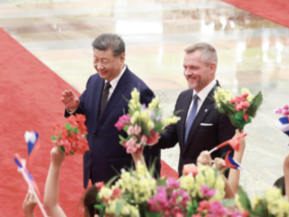 天天学习｜中斯友谊之树根深叶茂