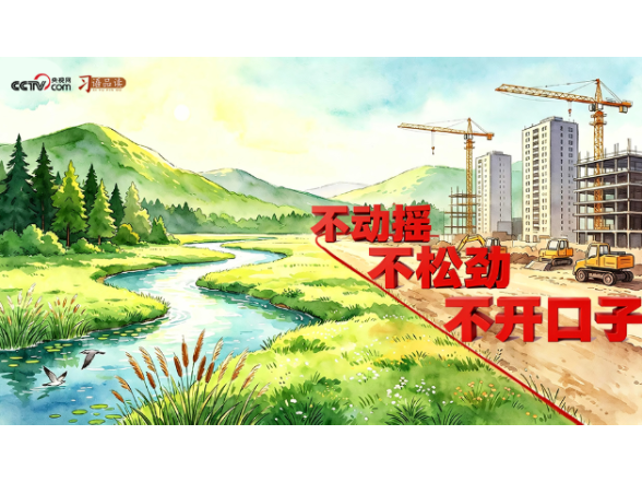 和谐共生｜不动摇、不松劲、不开口子