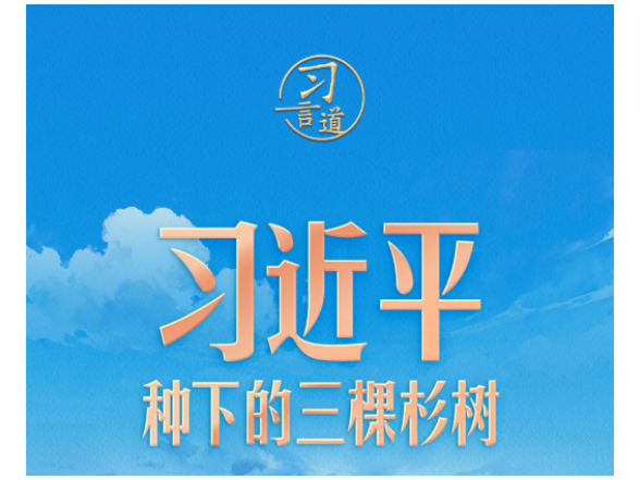 习言道｜习近平种下的三棵杉树
