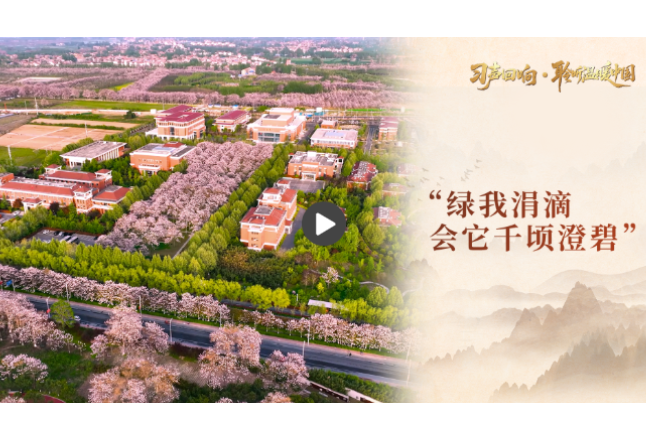 【习声回响·聆听温暖中国】“绿我涓滴 会它千顷澄碧”