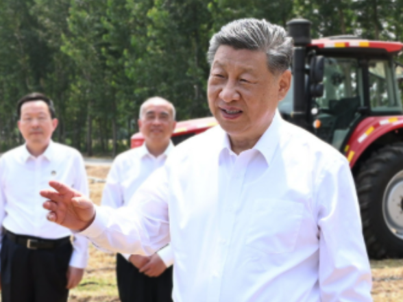 总书记的人民情怀丨“努力提升粮食能源资源安全保障能力”