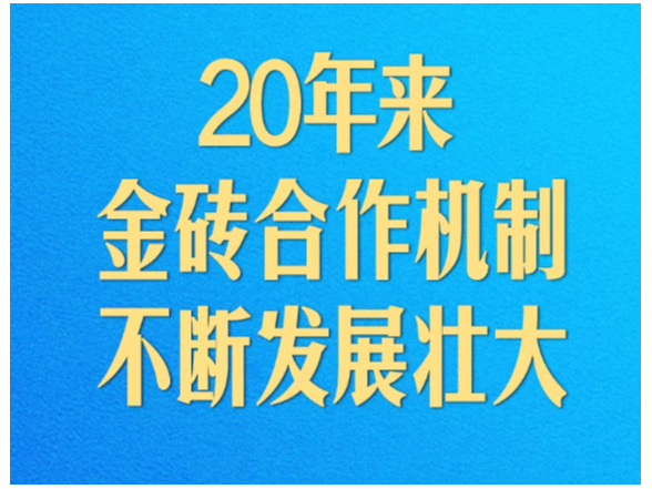 开启金砖合作第三个“金色十年”，习近平阐述中国主张
