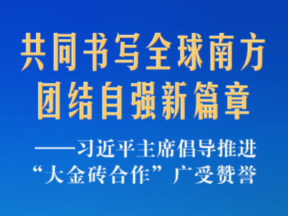 习近平主席倡导推进“大金砖合作”广受赞誉