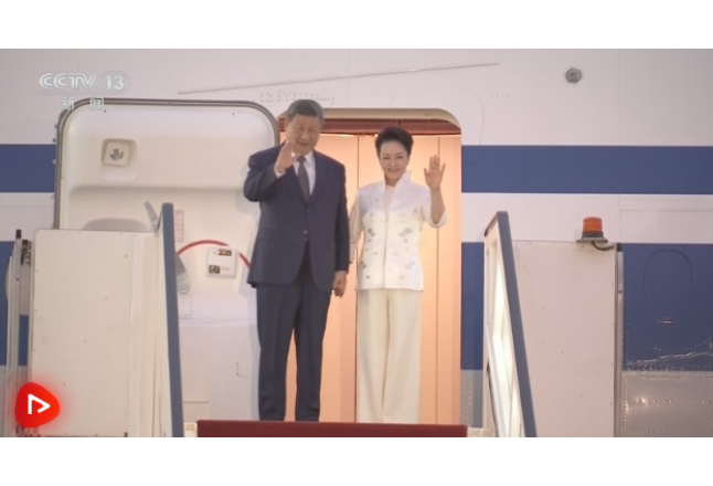 习近平抵达开罗对埃及进行国事访问