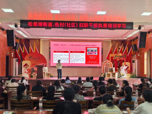 巾帼护航 法护万家——松杨湖街道开展指尖普法沙龙暨妇联执委专题培训