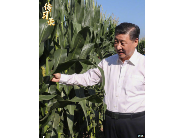 传习录丨“中国人要把饭碗端在自己手里”