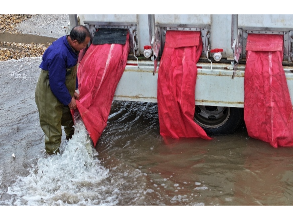 增殖放流鱼苗86万尾 守护长江水生生物资源