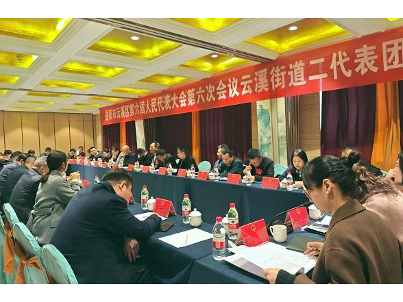 吴跃中等区领导参加分团讨论