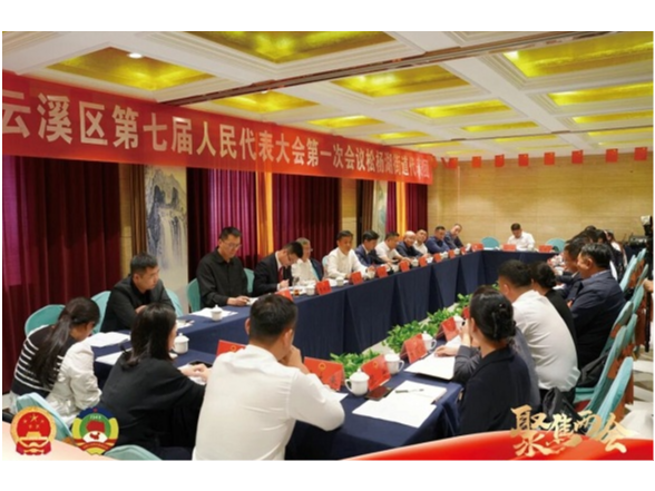 吴国良参加松杨湖街道代表团分团讨论