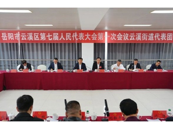 【聚焦两会】吴国良参加云溪街道代表团、长岭街道代表团分团讨论